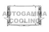 AUTOGAMMA 101280 Radiator, engine cooling